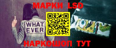 твердый Будённовск