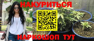 твердый Будённовск